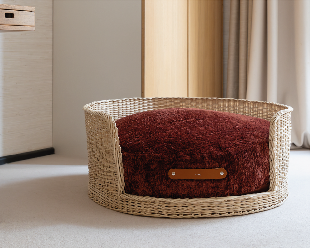 Ischia Mattress and Cover