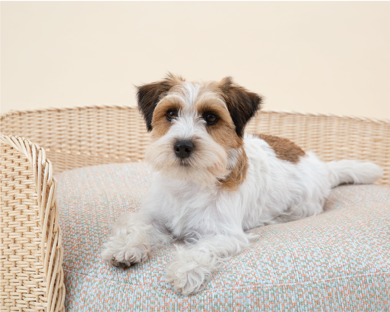 Ischia Mattress and Cover