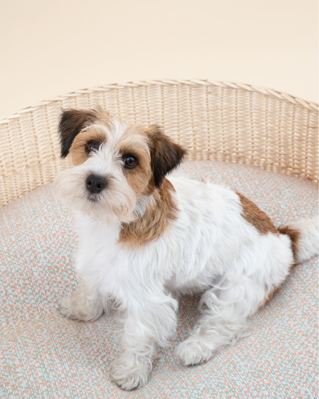 Ischia Mattress and Cover