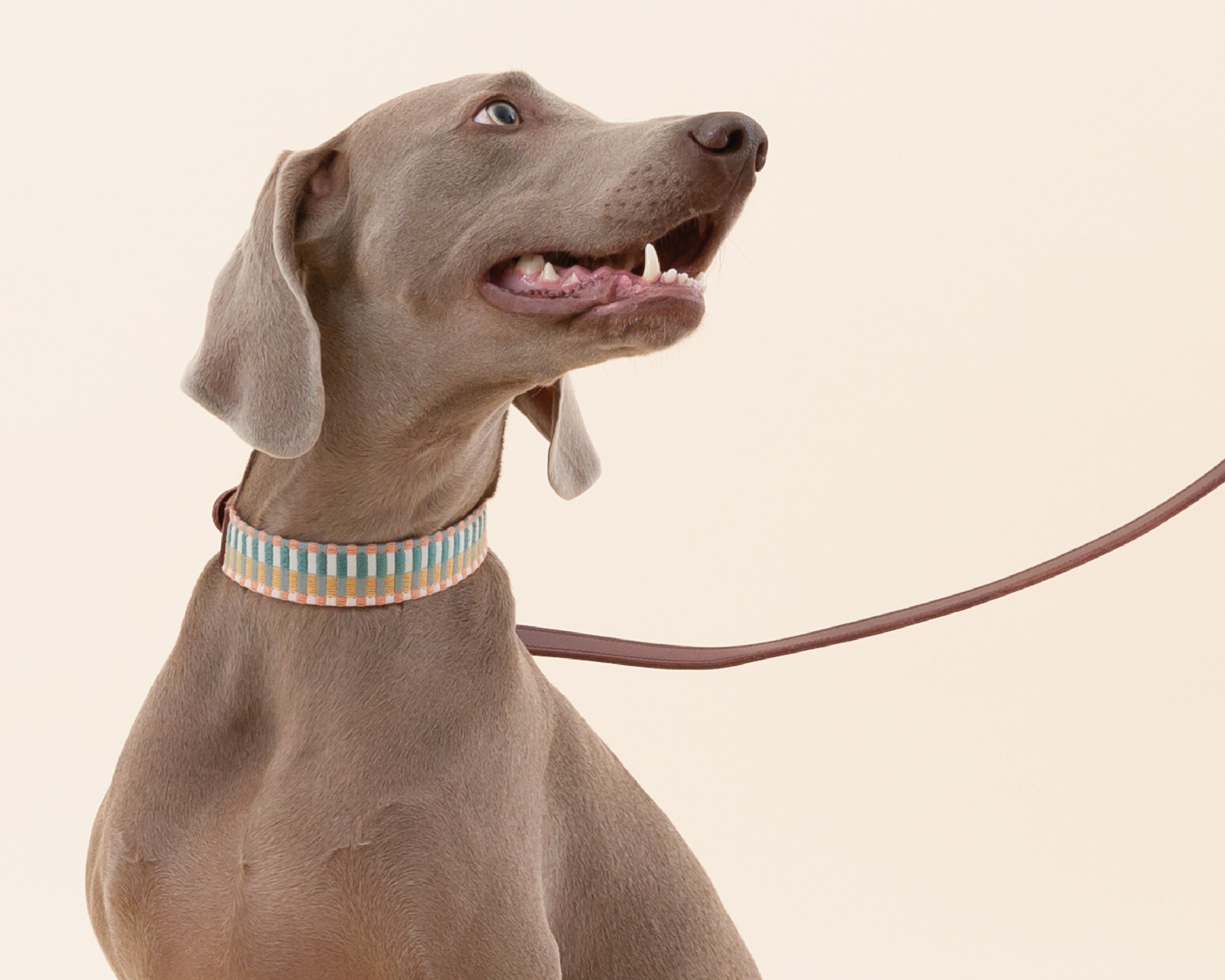 Ischia Mattress and Cover